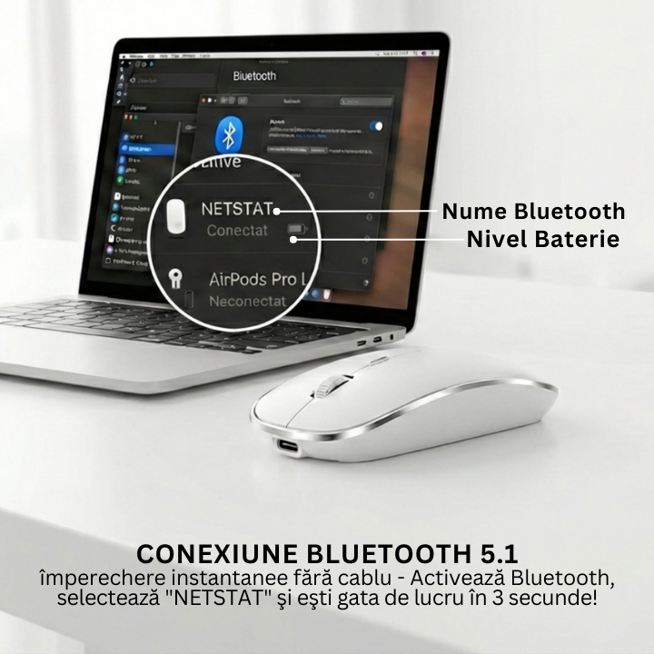 Mouse Office Premium 3